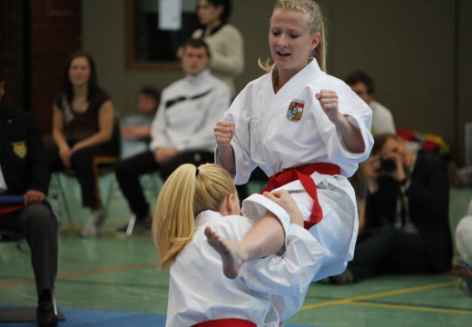 Hochschulmeisterschaften Karate Mai 2013 Foto Patrick Kleibold 103