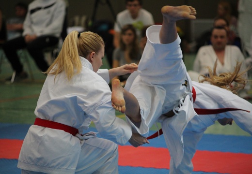 Hochschulmeisterschaften Karate Mai 2013 Foto Patrick Kleibold 104