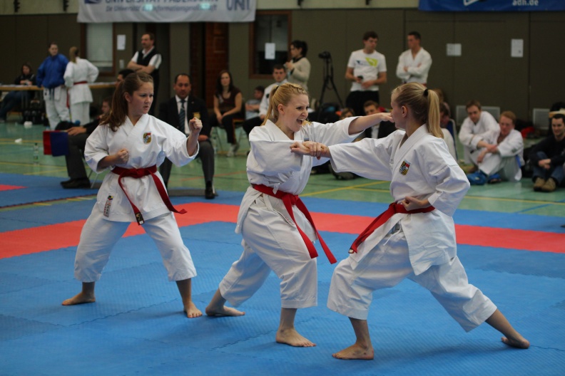 Hochschulmeisterschaften_Karate_Mai_2013_Foto_Patrick_Kleibold_106.jpg