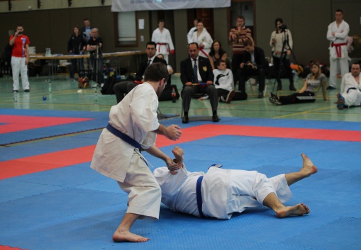 Hochschulmeisterschaften Karate Mai 2013 Foto Patrick Kleibold 113