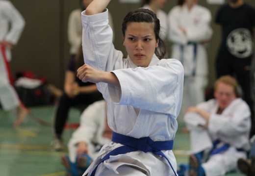 Hochschulmeisterschaften Karate Mai 2013 Foto Patrick Kleibold 117