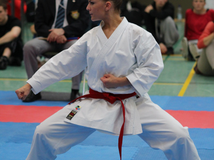 Hochschulmeisterschaften Karate Mai 2013 Foto Patrick Kleibold 122