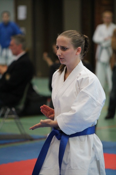 Hochschulmeisterschaften_Karate_Mai_2013_Foto_Patrick_Kleibold_124.jpg