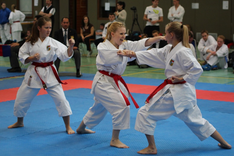 Hochschulmeisterschaften_Karate_Mai_2013_Foto_Patrick_Kleibold_7.jpg