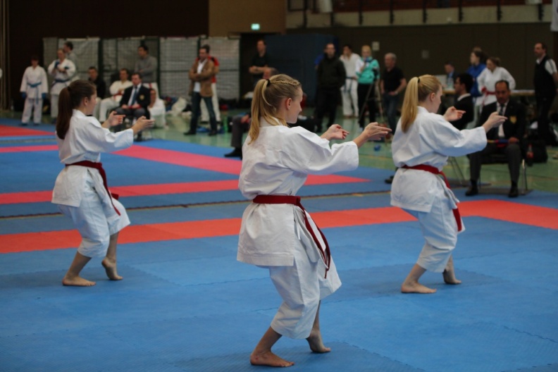Hochschulmeisterschaften_Karate_Mai_2013_Foto_Patrick_Kleibold_96.jpg