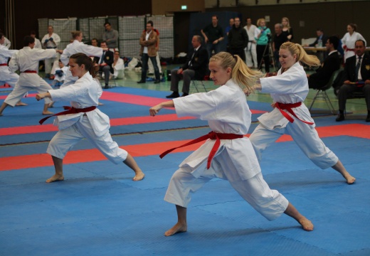 Hochschulmeisterschaften Karate Mai 2013 Foto Patrick Kleibold 97