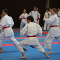 Hochschulmeisterschaften Karate Mai 2013 Foto Patrick Kleibold 98